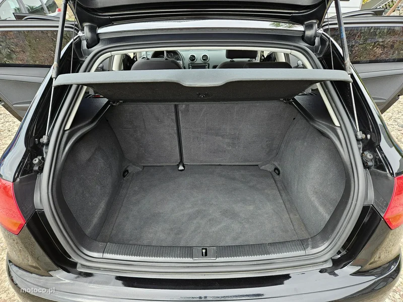 Audi A3 8P 20