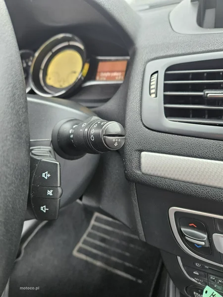 Renault Megane III 19