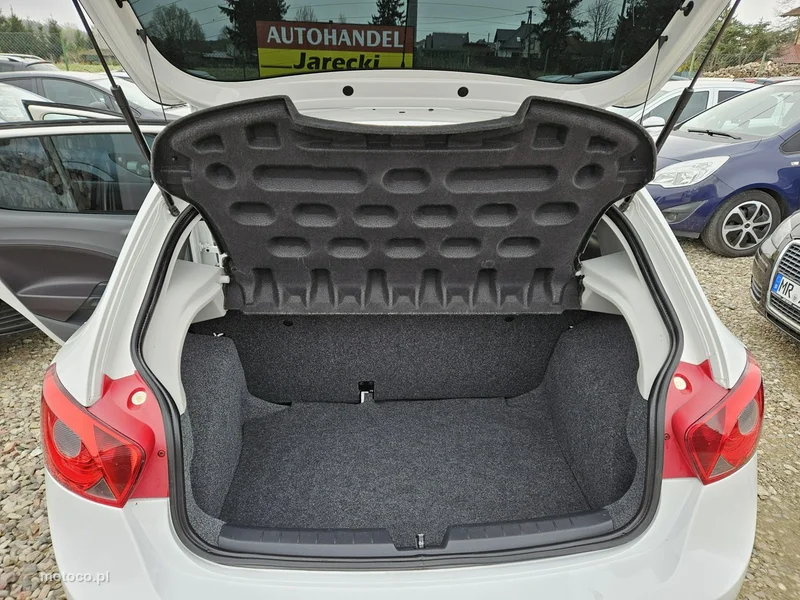 Seat Ibiza 17