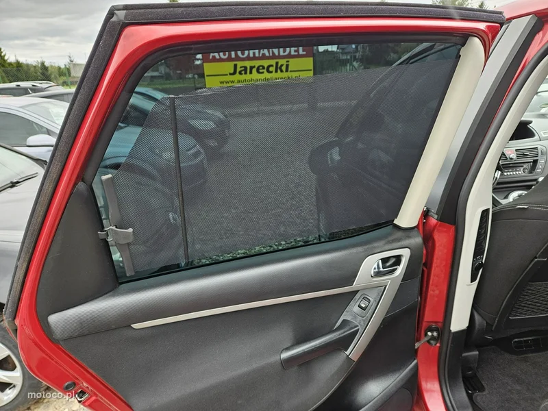 Citroen C4 Picasso 19