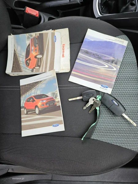 Ford EcoSport 18