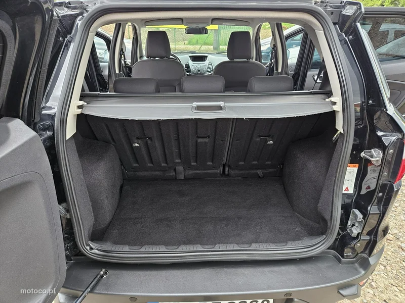 Ford EcoSport 19