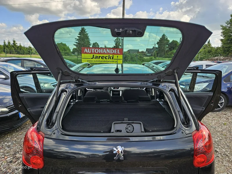 Peugeot 207 SW 19