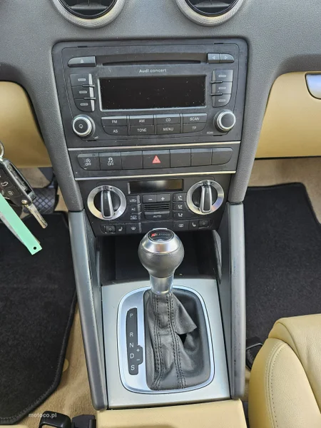 Audi A3 8P 19