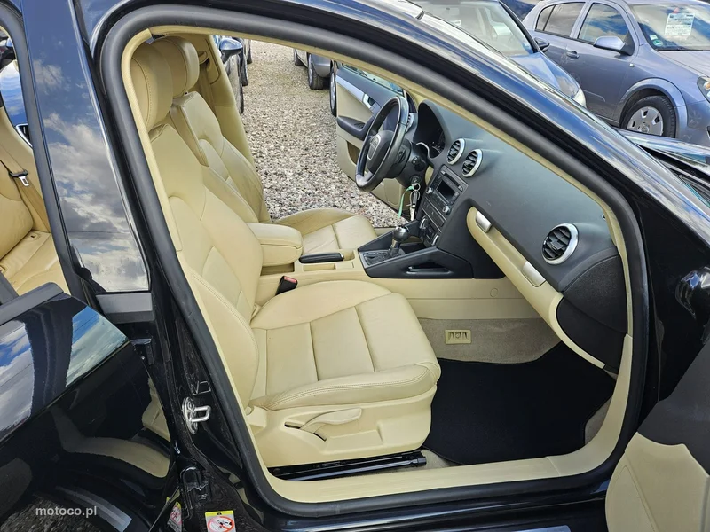 Audi A3 8P 10