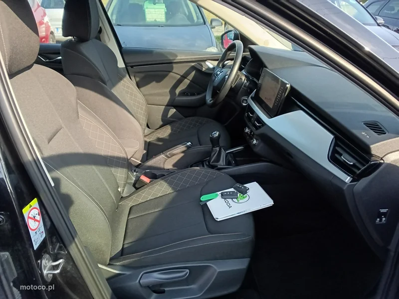 Skoda Kamiq I 15