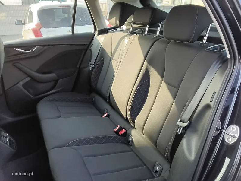 Skoda Kamiq I 10