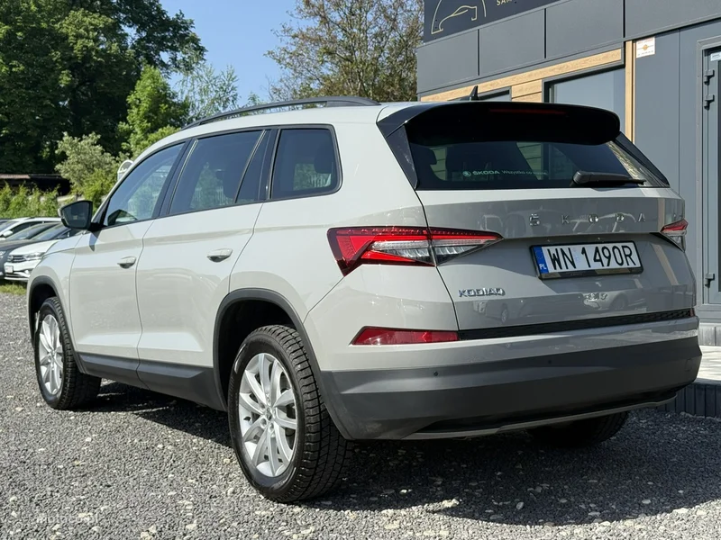Skoda Kodiaq I 7