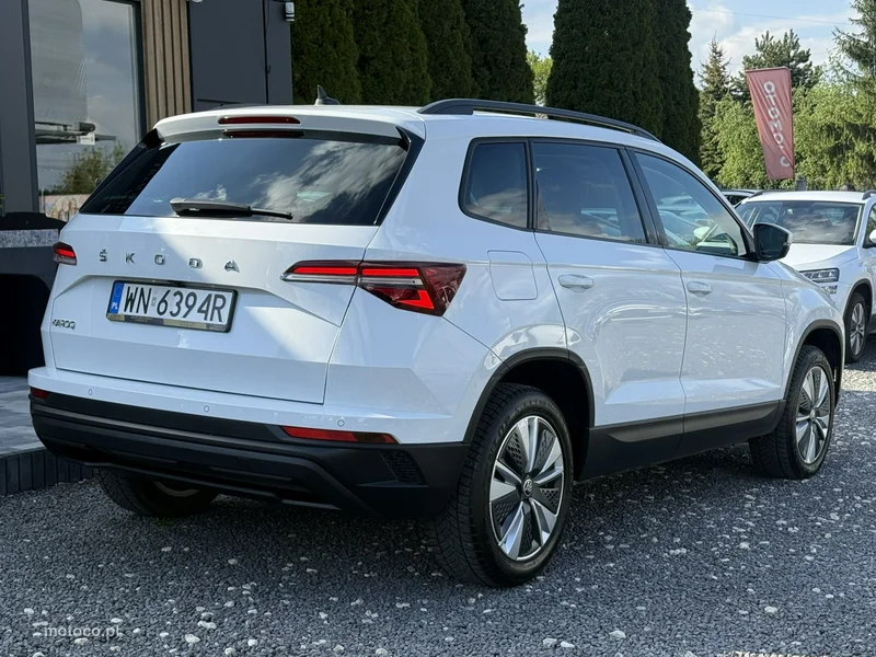 Skoda Karoq I 10