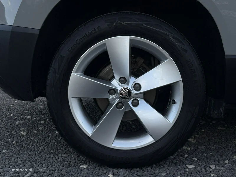Skoda Karoq I 13