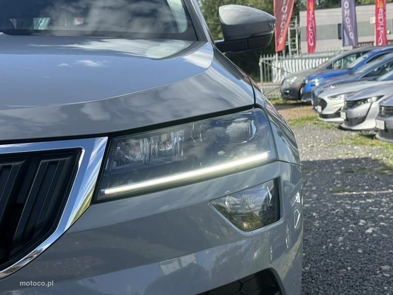 Skoda Karoq I 6
