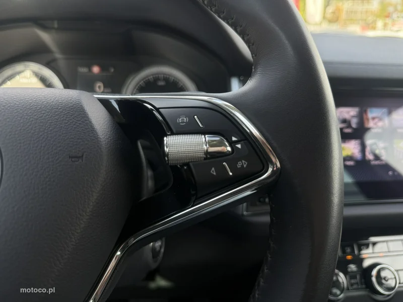 Skoda Kodiaq I 16