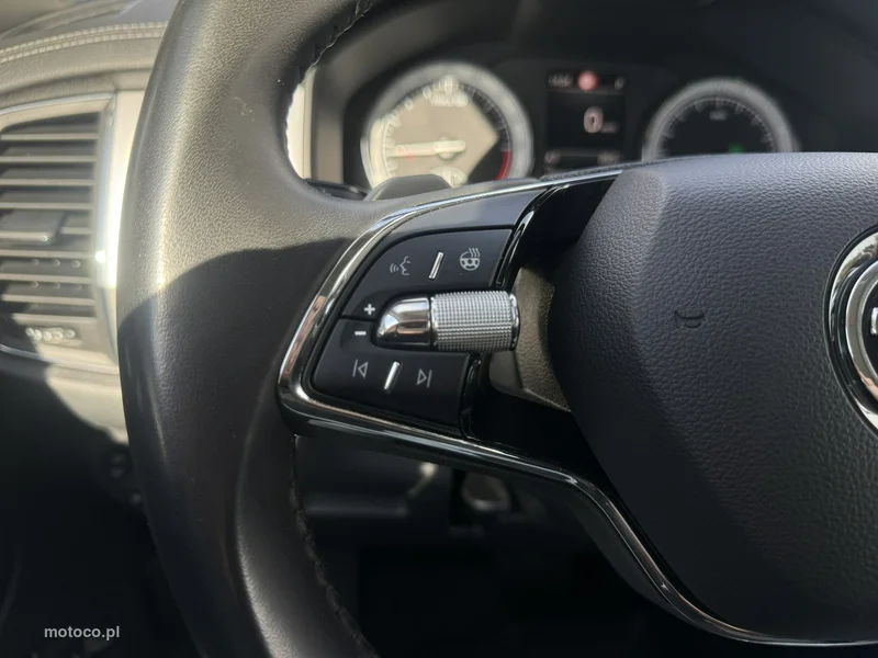 Skoda Kodiaq I 17