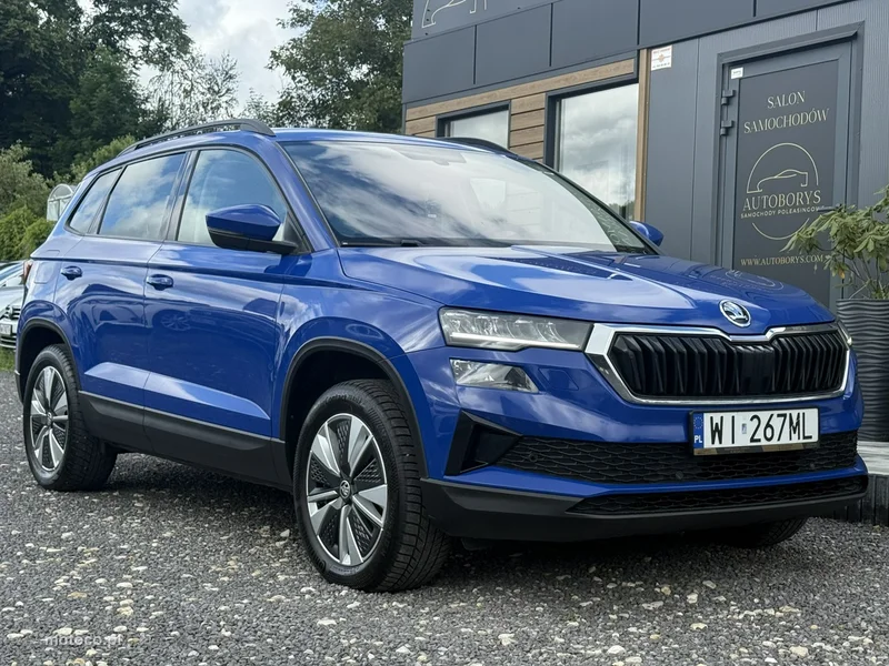 Skoda Karoq I 3