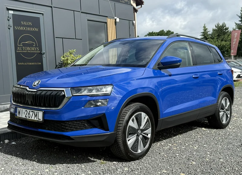 Skoda Karoq I 6