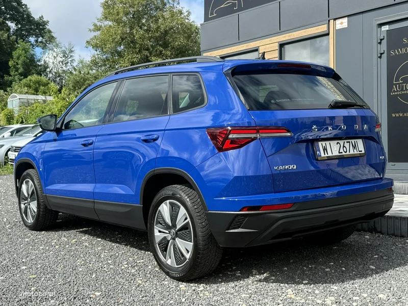 Skoda Karoq I 7