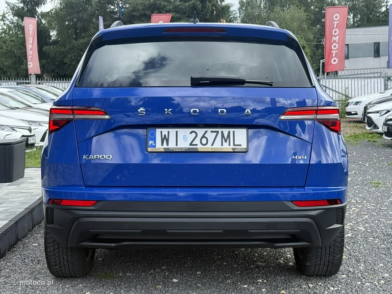 Skoda Karoq I 8