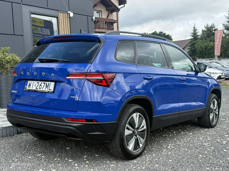 Skoda Karoq I 10