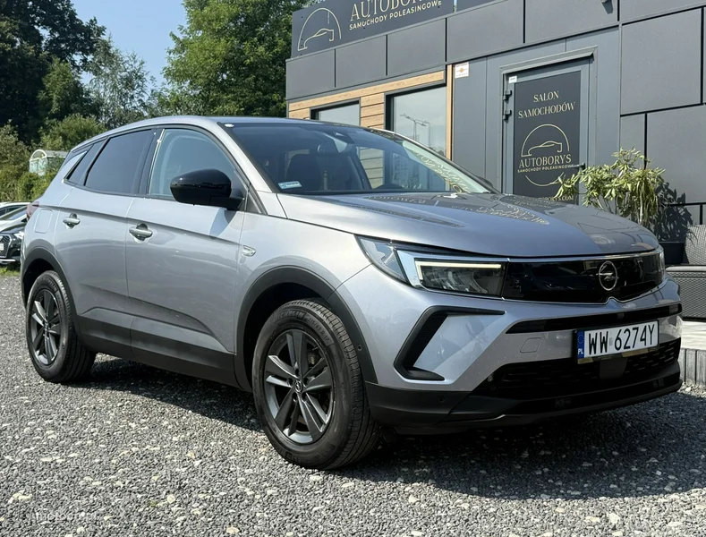 Opel Grandland X 3
