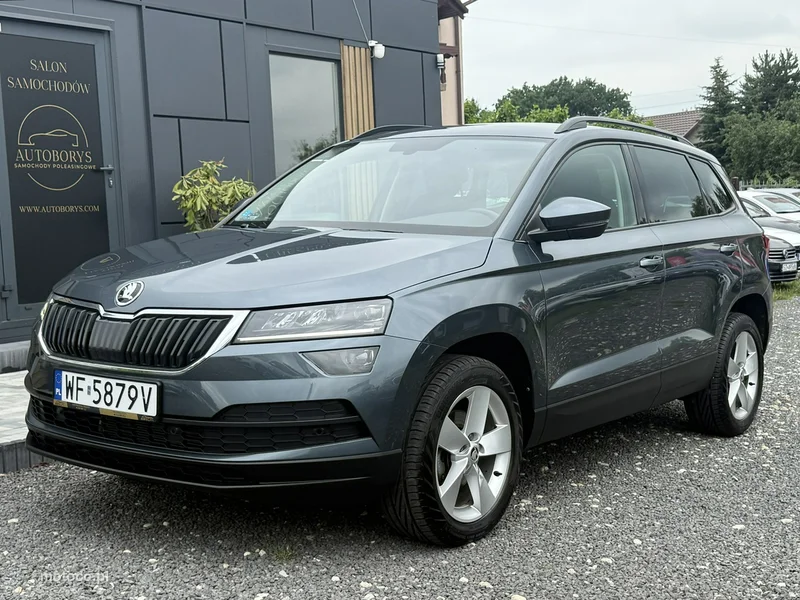 Skoda Karoq I 6