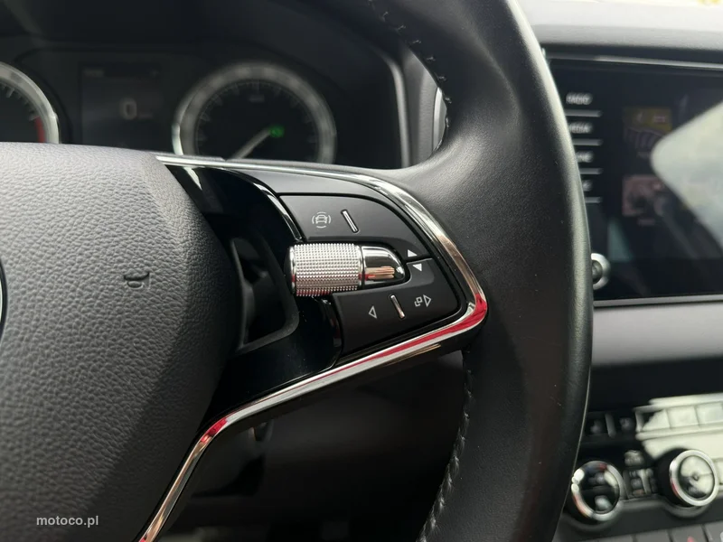 Skoda Karoq I 18