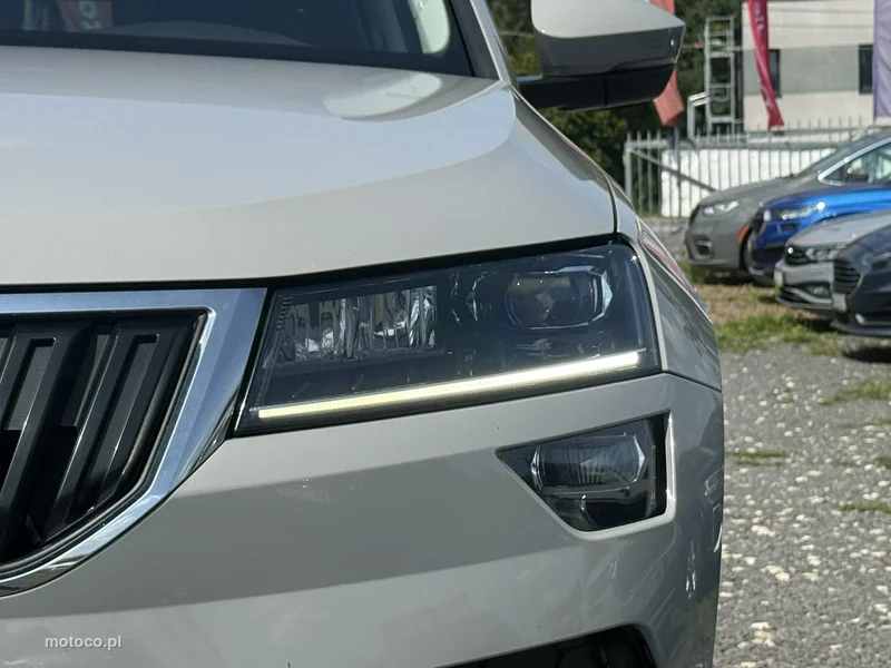 Skoda Karoq I 6