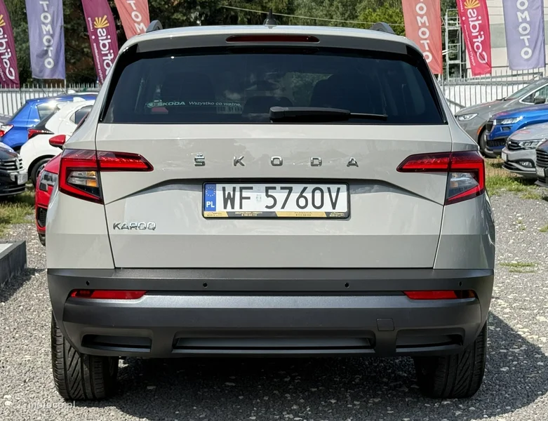 Skoda Karoq I 9