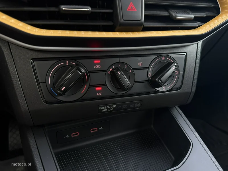 Seat Ibiza 21