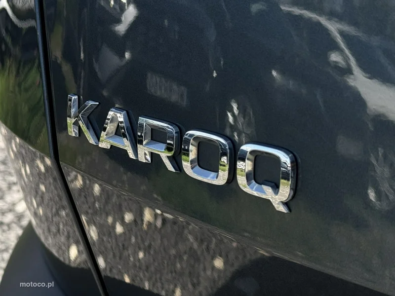 Skoda Karoq I 18