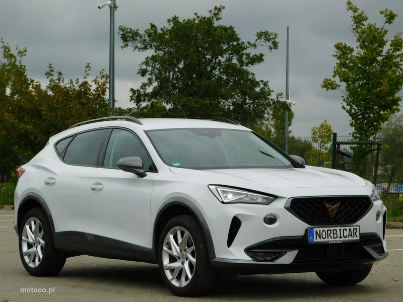 Cupra Formentor 22