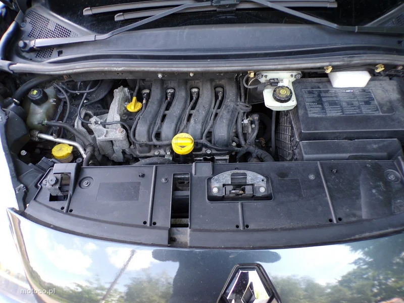 Renault Grand Scenic II 18