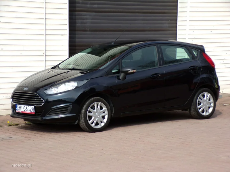 Ford Fiesta VI 14