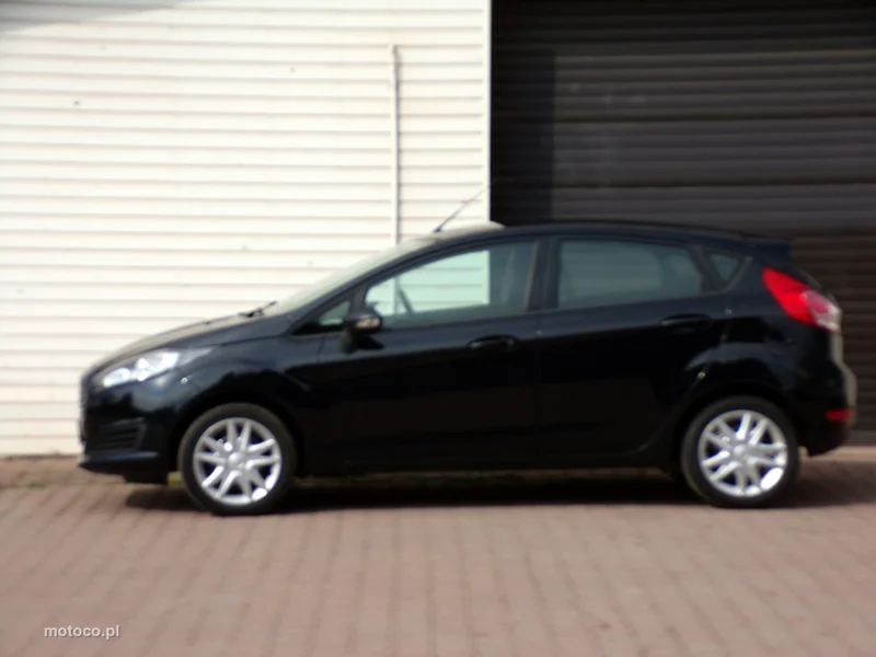 Ford Fiesta VI 15