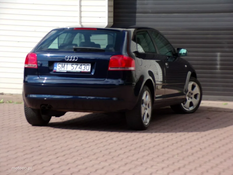 Audi A3 8P 13