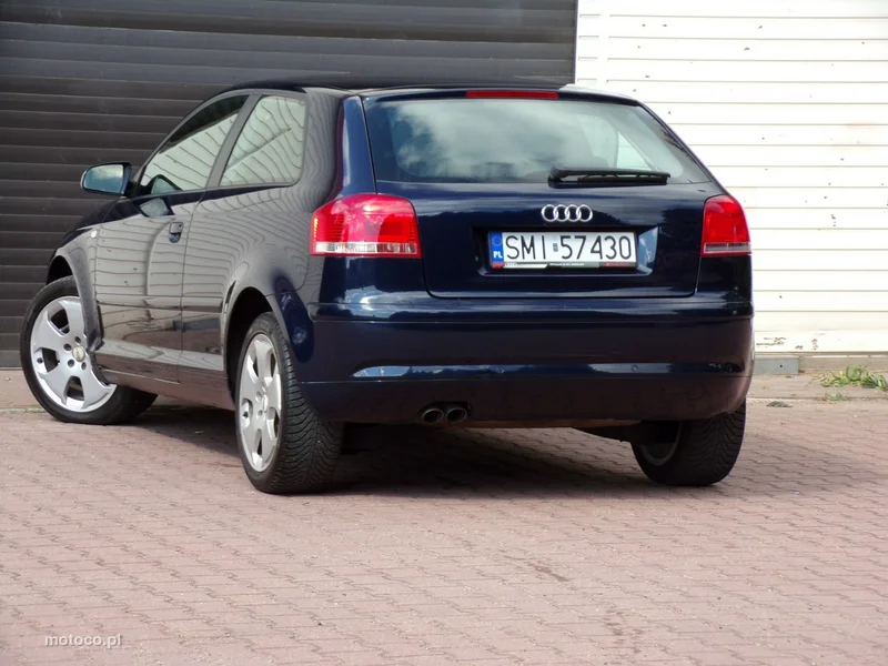 Audi A3 8P 15