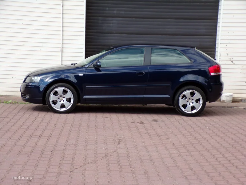 Audi A3 8P 7