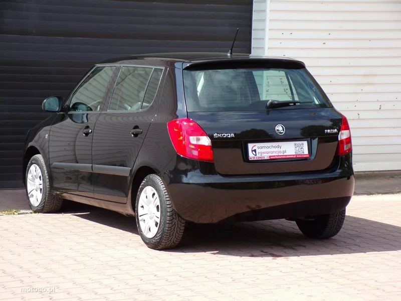Skoda Fabia II 14