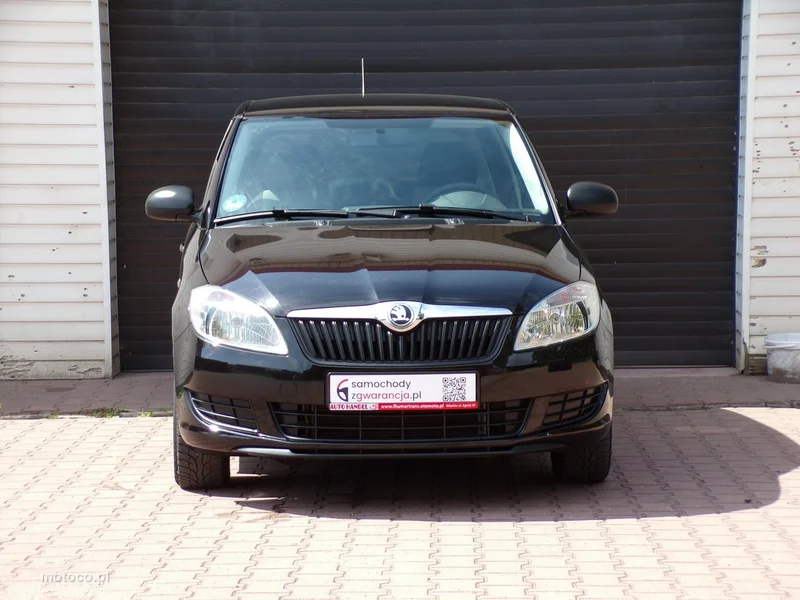 Skoda Fabia II 5