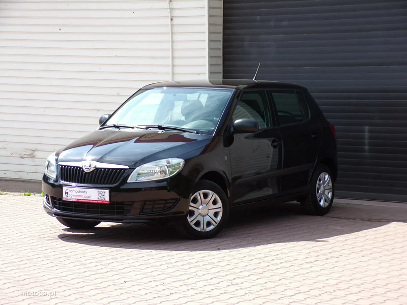 Skoda Fabia II 7