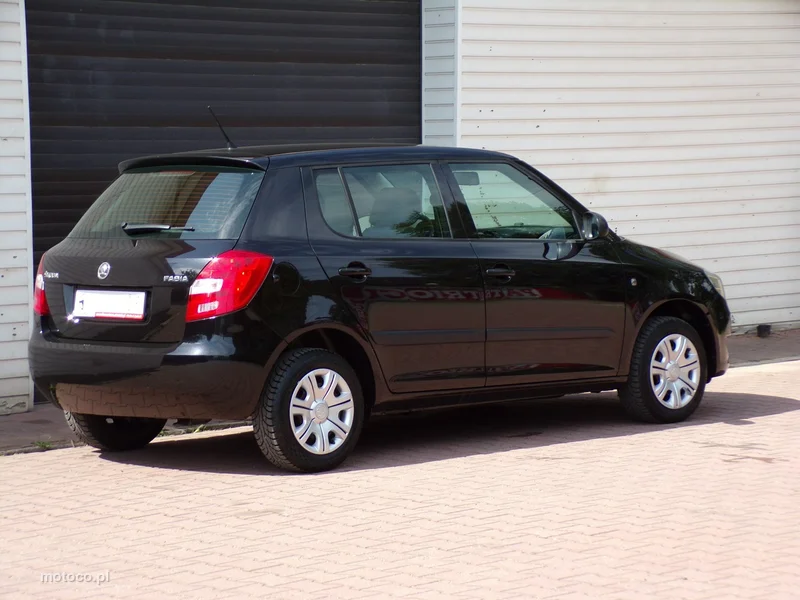 Skoda Fabia II 10