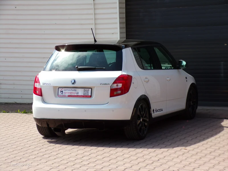 Skoda Fabia II 12