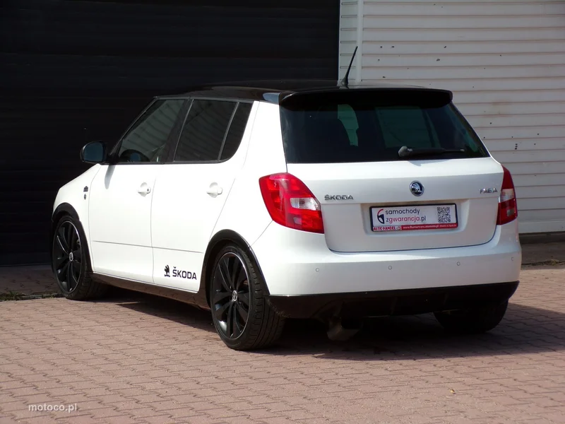 Skoda Fabia II 14