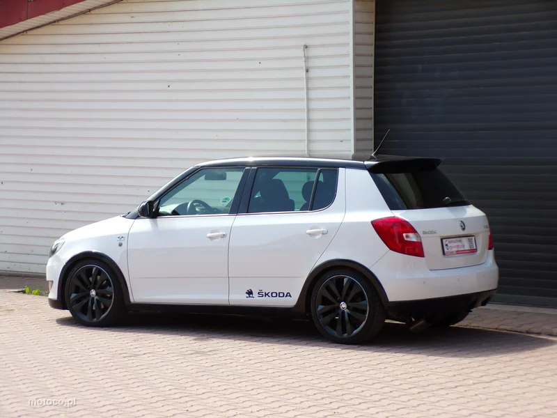 Skoda Fabia II 16