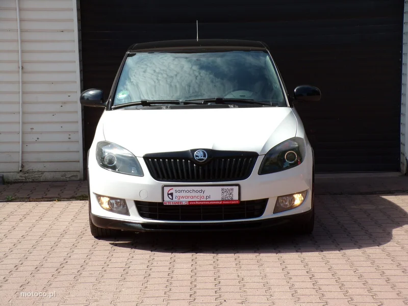Skoda Fabia II 6