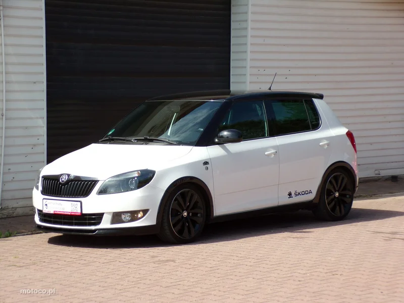 Skoda Fabia II 8