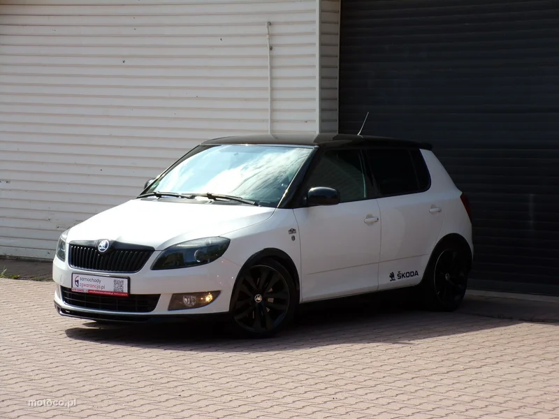 Skoda Fabia II 9
