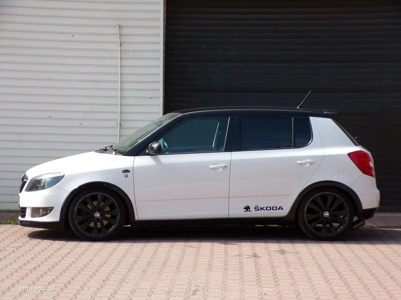 Skoda Fabia II 10