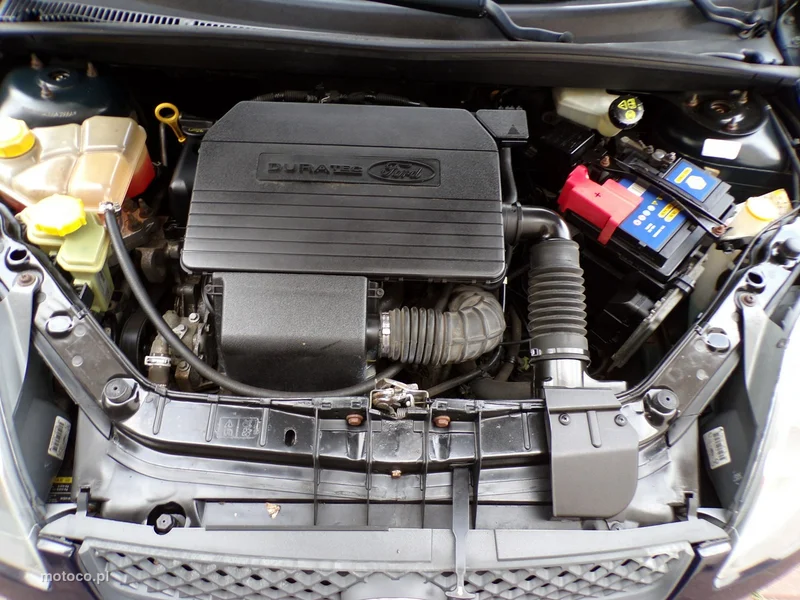 Ford Fiesta V 25