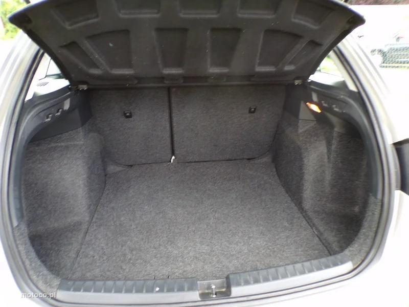 Seat Ibiza 24