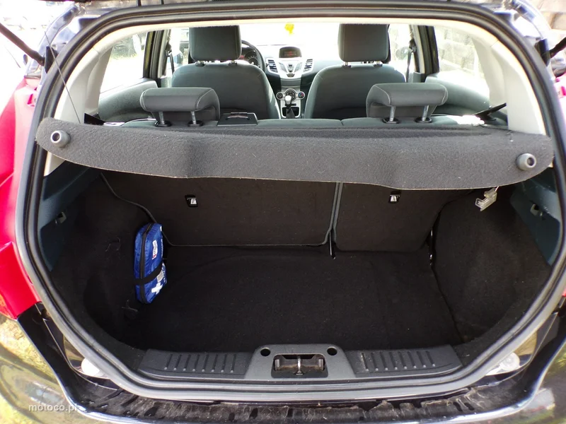 Ford Fiesta VI 31
